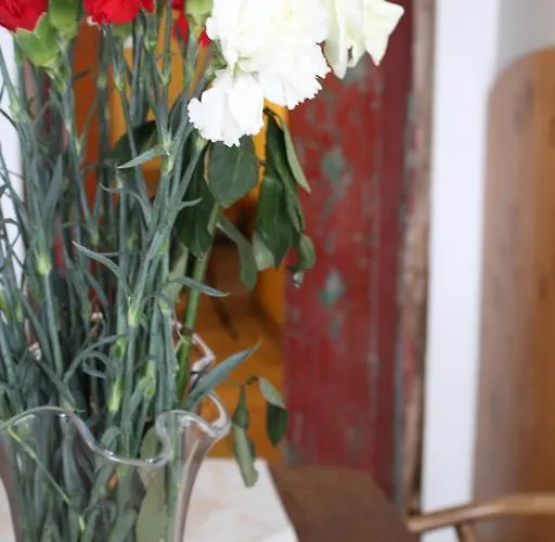 Art San Angel Bed and breakfast