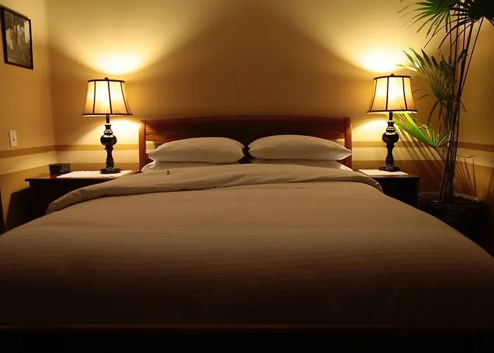 Art San Angel Bed and breakfast 3*